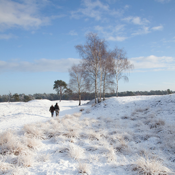 couple walks near Zeist in winter - Photo, Image