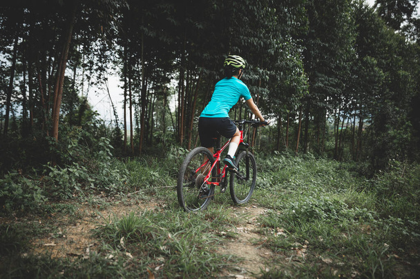 Riding bike in spring forest - Фото, зображення