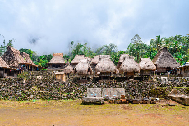 village traditionnel de toit de chaume de luba à flores île, indonesia - Photo, image