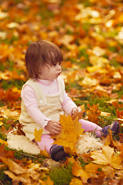 Petite fille dans la forêt d'automne - Photo, image