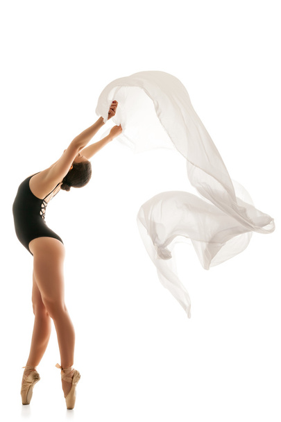 woman ballet dancer silhouette - Fotoğraf, Görsel