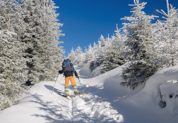 Sciatore che si muove su in una neve
 - Foto, immagini