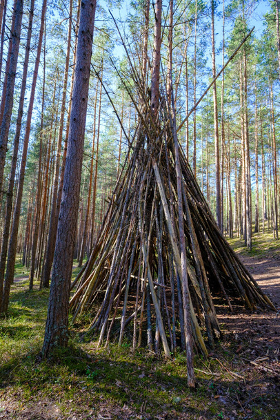 Огромное укрытие из ветвей и ветвей на поляне в глубоком лесу, окруженном деревьями и зеленью - Фото, изображение