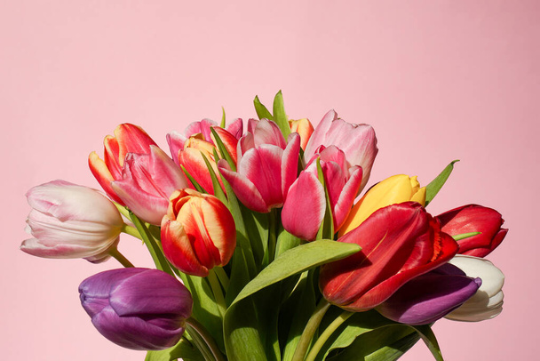 Fresch kolorowy bukiet tulipany na różowym tle. Kartka z życzeniami. Zamknij, skopiuj przestrzeń.. - Zdjęcie, obraz