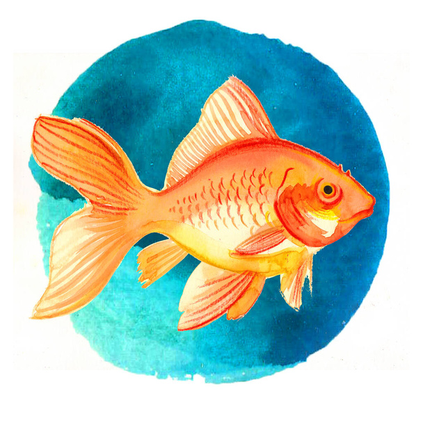 Золотая рыба в голубой воде. Чернила и акварель на бумаге - Фото, изображение