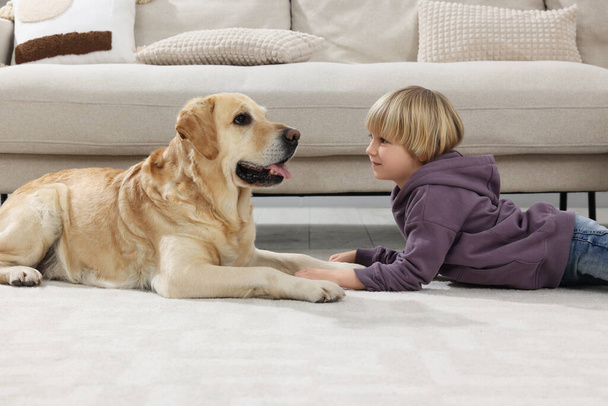 Cute little child with Golden Retriever on floor at home. Adorable pet - 写真・画像