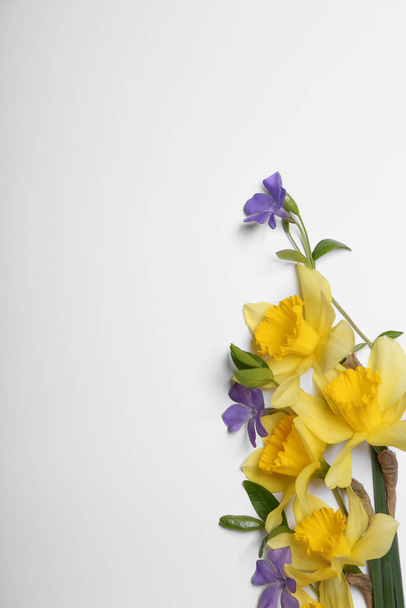 Beautiful yellow daffodils and periwinkle flowers on white background, top view. Space for text - Foto, Bild