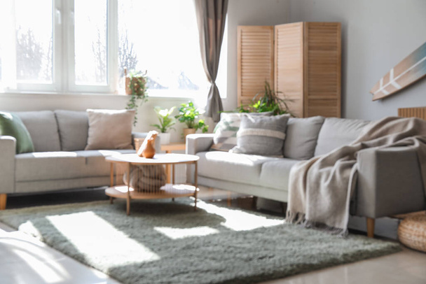 Interior da sala de estar leve com sofás, mesa e plantas de sala - Foto, Imagem