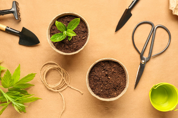 Peat pots with seedling and scissors on beige background - Foto, imagen