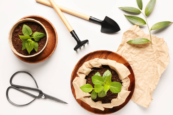 Торфяные горшки с зелеными саженцами и садовыми инструментами на белом фоне - Фото, изображение