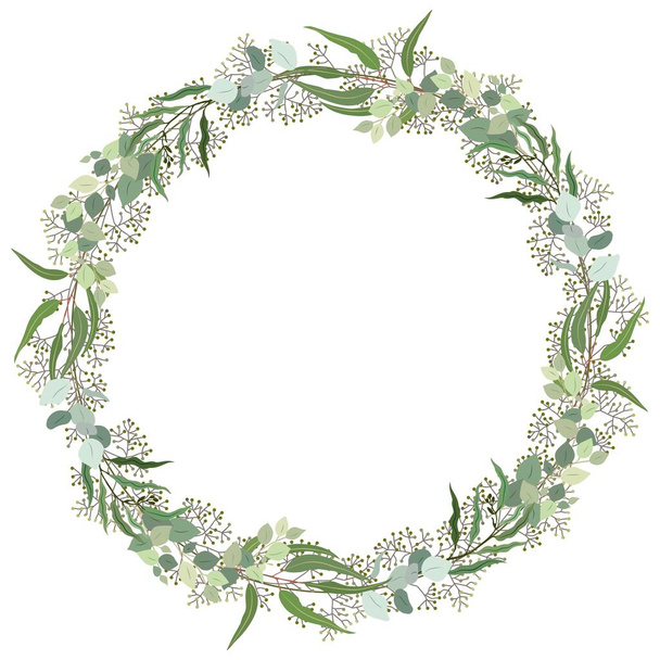 Eucalyptus wreath. Round natural backdrop with hand drawn eucalyptus leaves and branches. Decorative frame made of aromatic plant. Botanical vector realistic illustration isolated on white background. - Vektör, Görsel