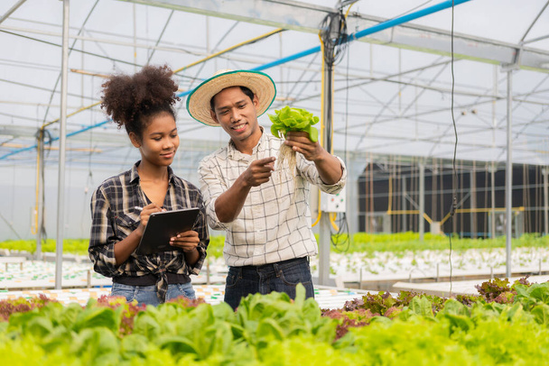 Два азиатских садовника, работающие на гидропонной овощной ферме, держат планшет, проверяют овощи на предмет сбора урожая, мужчина и женщина-фермер, держащие зеленый салат, смотрят в камеру с улыбкой на ферме - Фото, изображение