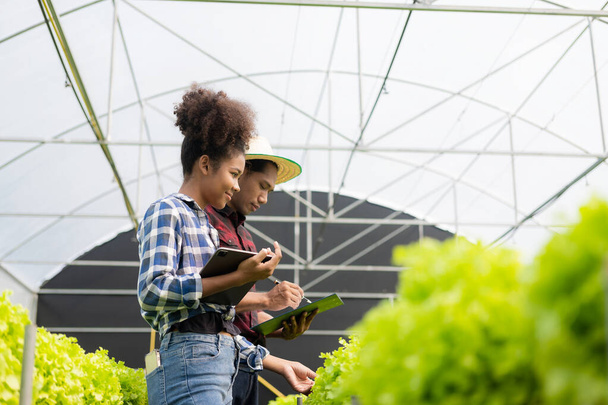 Dva asijští zahradníci pracující v hydroponics zeleninové farmě hospodářství tablet chůze kontrola zeleniny pro sklizeň, samec a samice farmář drží zelený salát box při pohledu na kameru s úsměvem na farmě - Fotografie, Obrázek