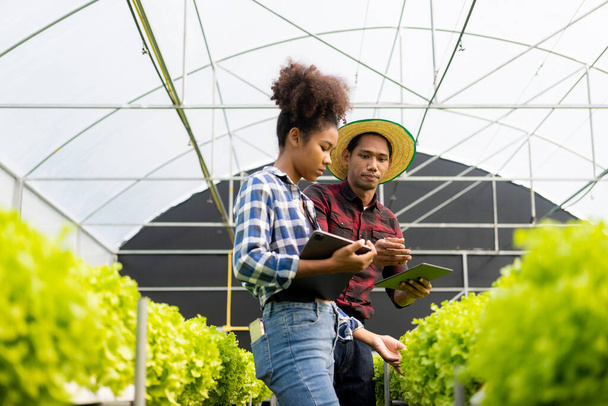 Deux jardiniers asiatiques travaillant dans une exploitation maraîchère hydroponique tenant une tablette marchant vérifiant les légumes pour la récolte, agriculteur mâle et femelle tenant une boîte à salade verte regardant la caméra avec le sourire à la ferme - Photo, image
