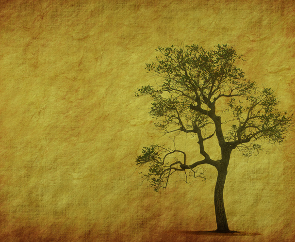 Tree with old grunge antique paper texture - 写真・画像