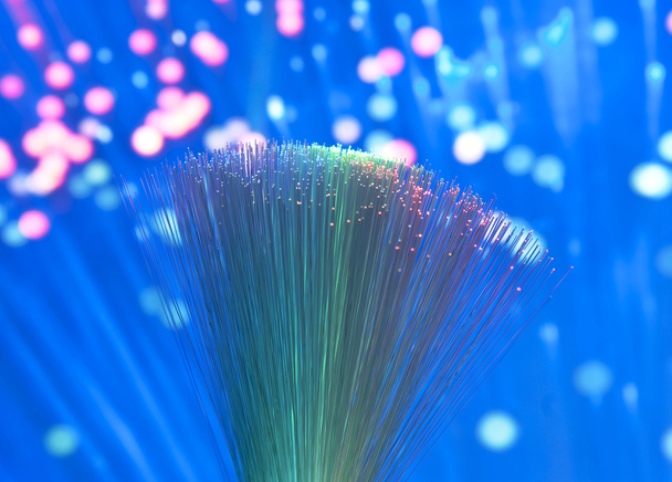 Bunch of optical fibres dinamic flying from deep on technology background - Photo, Image