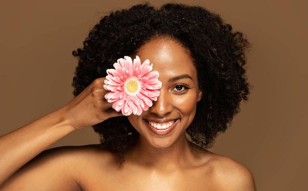 Muotokuva onnellinen iloinen iloinen hymyilevä kaunis nuori musta nainen tuuhea hiukset poseeraa yläosattomissa yli ruskea seinä tausta, joka peittää toisen silmän vaaleanpunainen kukka transvaal päivänkakkara, lähikuva - Valokuva, kuva