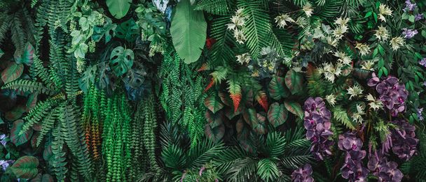 Close up group of background τροπικά πράσινα φύλλα υφή και αφηρημένο φόντο. Έννοια τροπικής φύσης φύλλων.  - Φωτογραφία, εικόνα