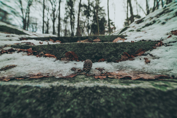 冬の公園の階段 - 写真・画像