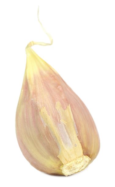 Clove of Garlic - Foto, Imagem