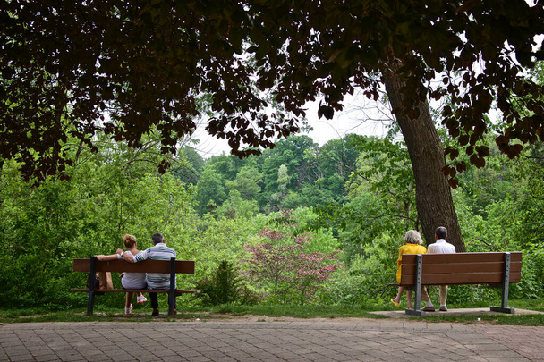 Rear view of couples sitting on the park bench in the public park - Zdjęcie, obraz