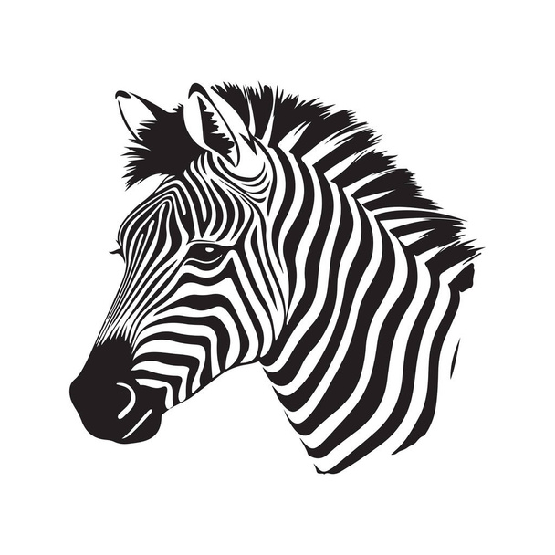 zebra, vintage logo line art concept black and white color, hand drawn illustration - Вектор,изображение