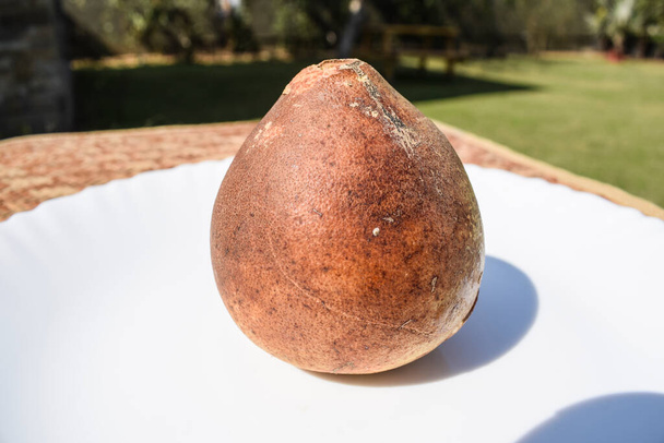 Индийское каменное яблоко или древесное яблоко, также известное как плод Баэля - Фото, изображение