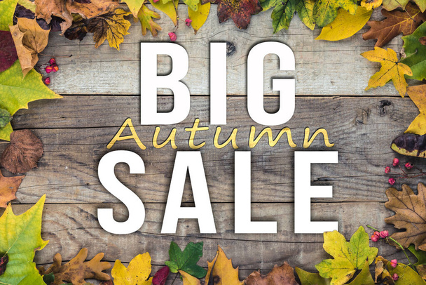 Autumn Big Sale Promotion Sign - Foto, Imagen