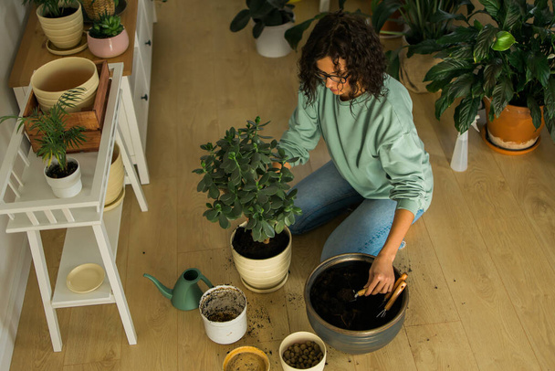 Γυναίκα μεγαλώνει γλάστρες φυτά στο σπίτι πότισμα και να φροντίσει τα λουλούδια - κηπουρική και φροντίδα houseplant - Φωτογραφία, εικόνα