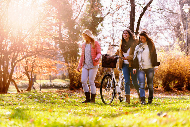 Parkta bisikletle yürüyen bir grup gülümseyen üniversiteli kız - arkadaşlık - Fotoğraf, Görsel