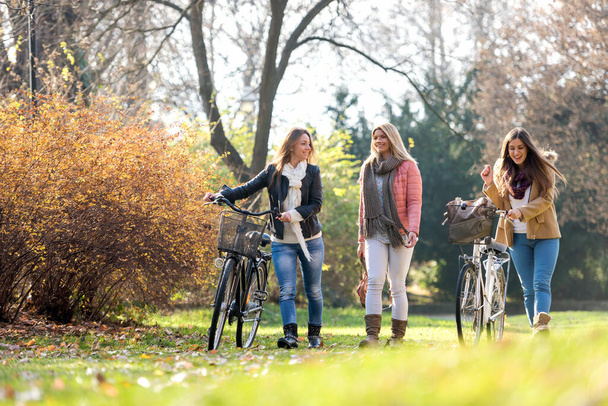 Gruppe lächelnder College-Mädchen mit Fahrrädern zu Fuß im Park - Freundschaft - Foto, Bild