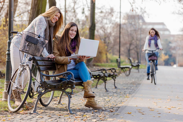 Groep van lachende college meisjes op park bank werken op laptop - Foto, afbeelding