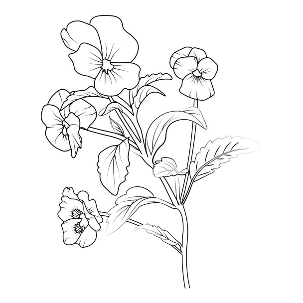 vector illustration a set of flowers, pansy line drawing, pansy flower drawing coloring page, pansy flower vector art, vintage botanical pansy flower illustration, line drawing with neon violet flower, a pale blue pansy sketch of vector illustration. - Wektor, obraz