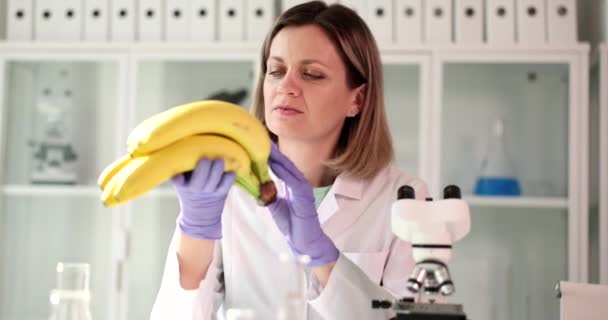 Wetenschapper in het laboratorium bestudeert bananen van dichtbij. Fruitcertificering en -expertise - Video