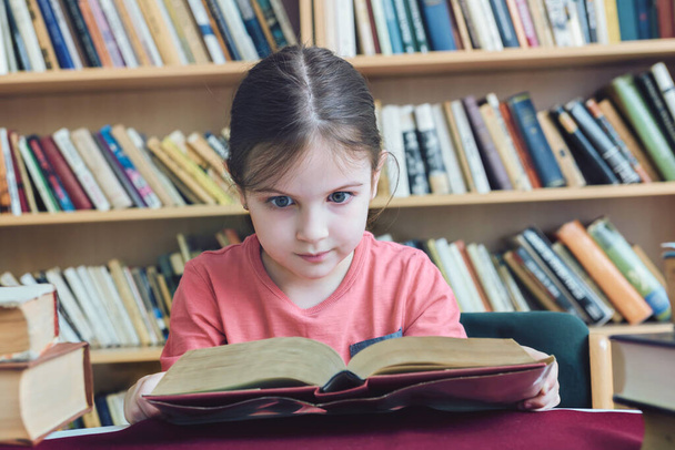 little girl reading book in library  - Fotografie, Obrázek