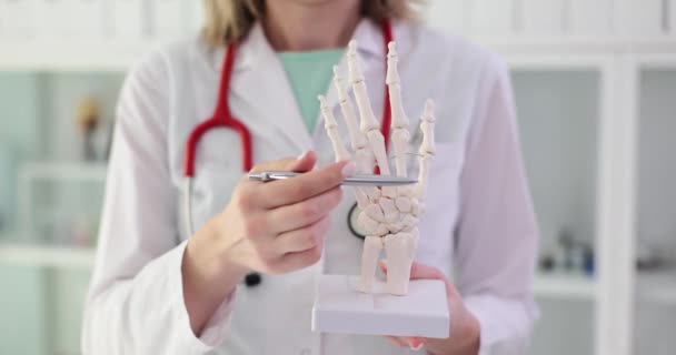 Il dottore tiene in modello di mani di scheletro di mani di mani. Assistenza medica per esame osseo scheletrico o test del cancro e dell'artrite - Filmati, video
