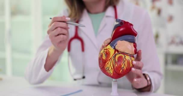 Model lidské anatomie v rukou kardiologa. Kardiologické konzultace, léčba srdečních onemocnění - Záběry, video