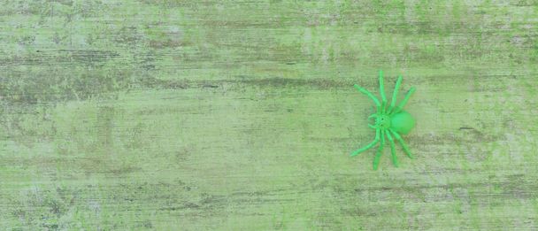 зеленый пластиковый паук на зеленом деревянном фоне - Фото, изображение