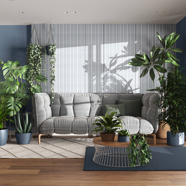Urbaner Dschungel, Wohnzimmer mit Samtsofa in Weiß- und Blautönen. Teppiche mit Tisch, Parkett und Zimmerpflanzen. Home garden interior design. Liebe zu Pflanzen - Foto, Bild
