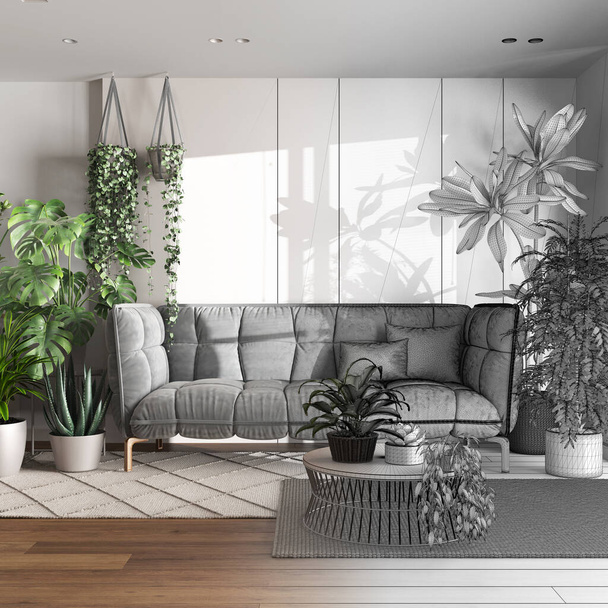 Architect interior designer concept: hand-drawn draft unfinished project that becomes real, urban jungle, living room with sofa. Home garden style. Love for plants concept - Foto, Imagem
