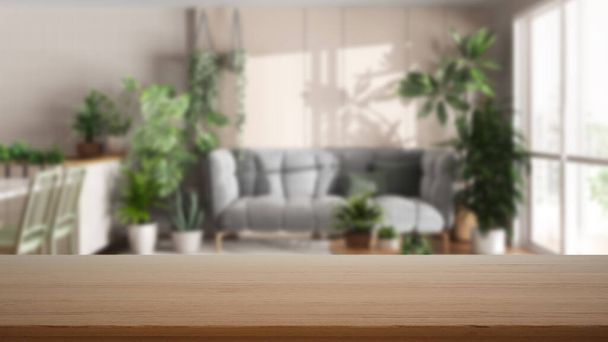 Mesa de madera vacía, escritorio o estante con vista borrosa de la cocina, comedor y sala de estar con sofá con muchas plantas de interior. Selva urbana concepto de diseño de interiores - Foto, imagen
