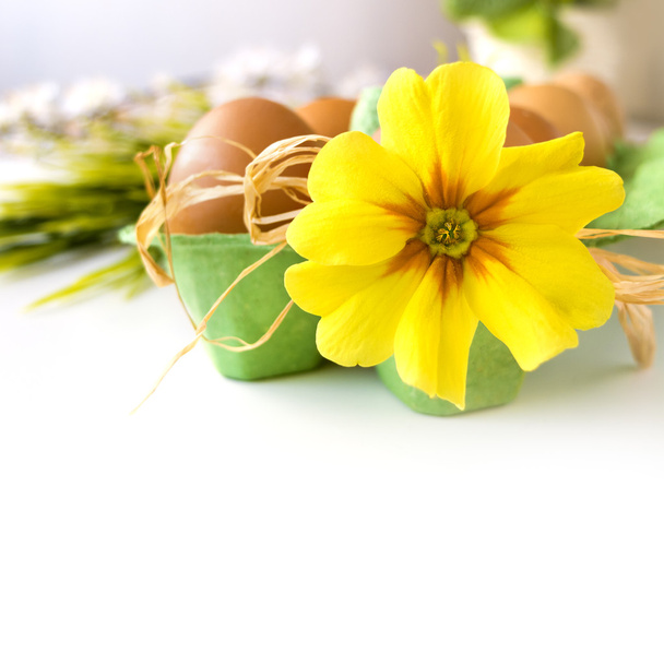 Pääsiäiskortti munat ja kukka
 - Valokuva, kuva