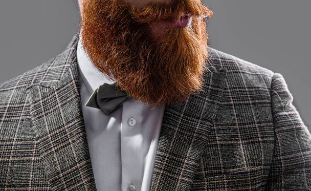 cropped view of bearded man with beard in bowtie. closeup photo of bearded man with beard on background. bearded man with beard isolated on grey. bearded man with beard in studio. - Foto, Imagem