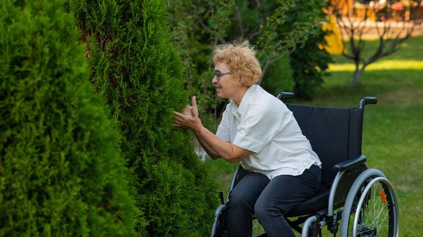 Happy elderly woman in a wheelchair rejoices in a walk outdoors - 写真・画像