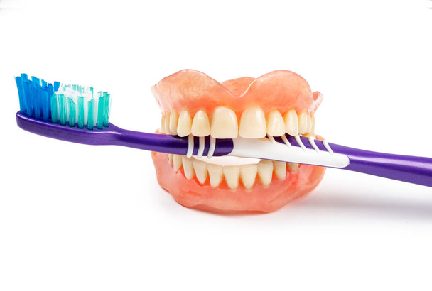 Dentures with toothbrush on white background. Medical dentur - Photo, Image
