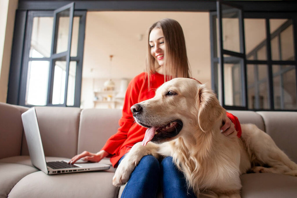 молодая девушка сидит на диване с собакой и пользуется ноутбуком дома, женщина с золотистым ретривером смотрит на компьютер и улыбается - Фото, изображение