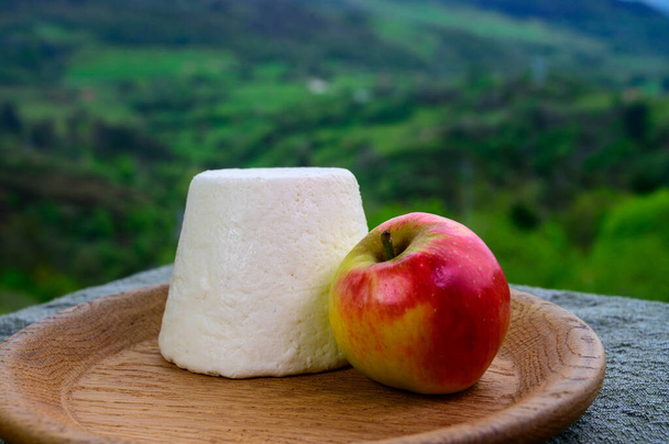 Spanish Afuega'l pitu unpasteurised cow's milk cheese from Asturias served outdoor with apples and view on green slopes of Picos de Europa mountains, Spain - Photo, Image