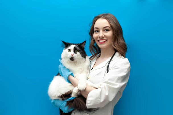 young girl veterinarian in uniform holds black and white cat on blue isolated background, doctor in medical coat with stethoscope looks smart and loves animals - Foto, Bild