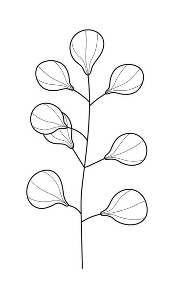 Plant branch, leaf doodle vector. Vintage hand drawn tree branches with leaves and flowers. Tree branches with leaf and flowers. Botanical line contemporary elements. - Vektör, Görsel