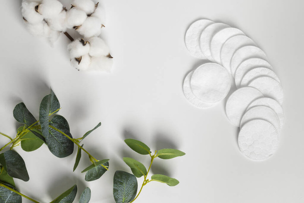 Cotton pads decorated with a plant leaves and cotton flowers lying on a white background. flat lay, top view, copy space. - 写真・画像